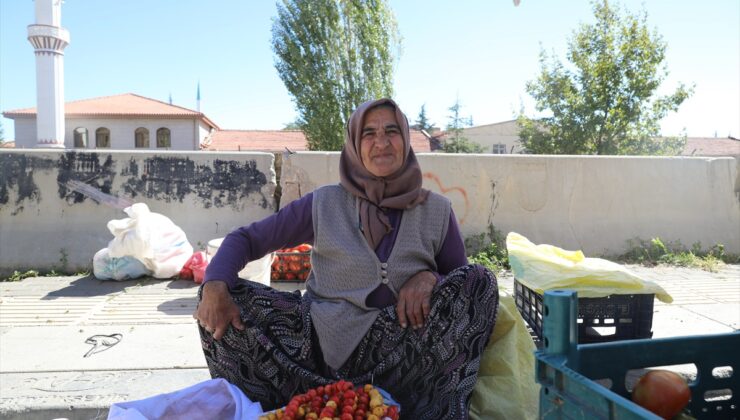 Ankara Çubuk’ta yaban meyveleri pazarlarda kilogramı 80-100 liradan satılıyor