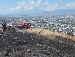Antakya Narlıca’da otluk alanda çıkan yangın ekipler sayesinde büyümeden söndürüldü