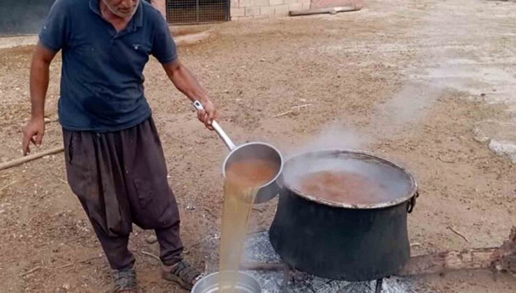 Araban’da bağ bozumu başladı, gün pekmezi güneşte günlerce bekletiliyor