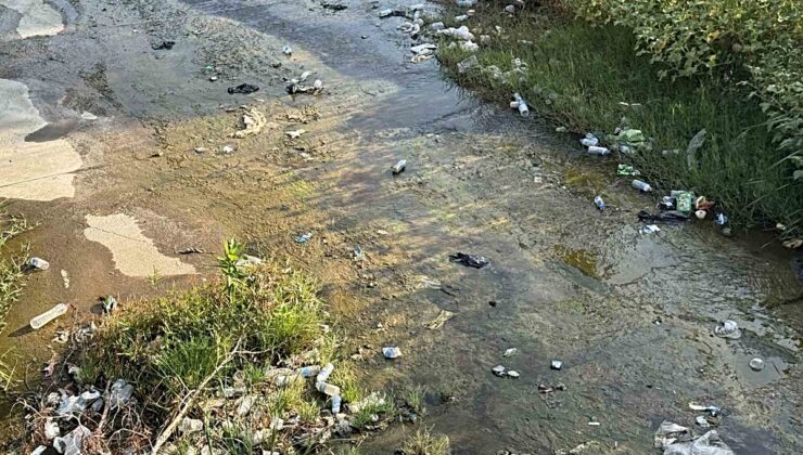 Aydın Efeler’de Tabakhane Deresi’ndeki çöpler çevre kirliliğine yol açtı
