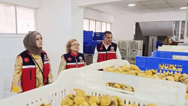 Aydın İnciri için Nazilli’deki tesislerde denetimler aralıksız sürüyor