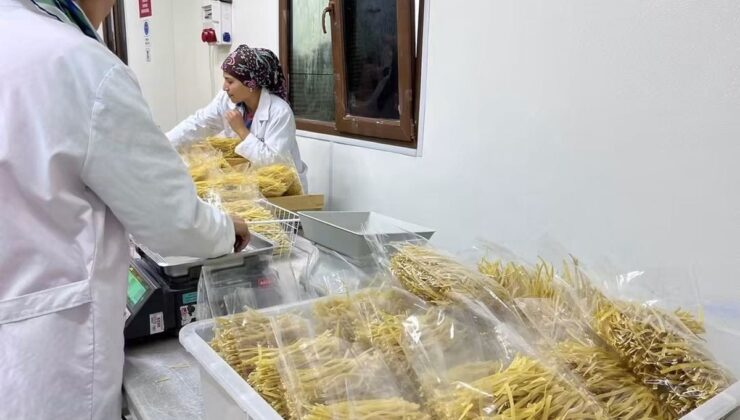 Balıkesir İl Tarım Müdürü Düzgün, Manyas Kulak’ta makarna işletmesini inceledi