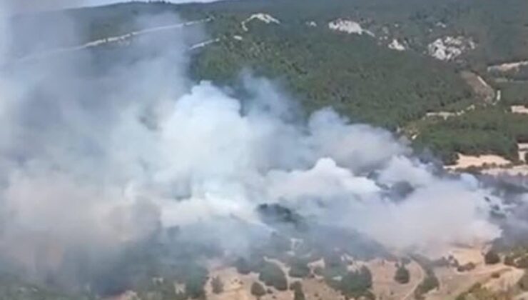 Balıkesir Karesi’de orman dışı alanda çıkan yangın ormana sıçradı