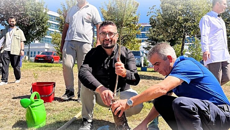 Beyşehir’den kısa kısa