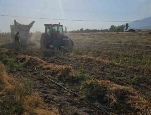 Bitlis Adilcevaz’da fasulye hasadı başladı, kilosu 60-70 TL’den alıcı buluyor
