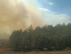Bolu Gerede’de Anız Yangını Ormana Sıçradı: Havadan ve Karadan Müdahale
