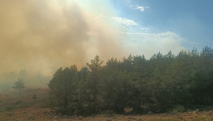 Bolu Gerede’de Anız Yangını Ormana Sıçradı: Havadan ve Karadan Müdahale
