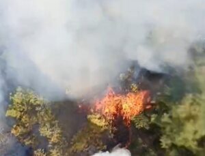 Bursa’da Anız Yangını Ormana Sıçradı: 3 Hava Aracıyla Müdahale