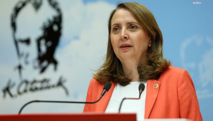 CHP’li Dinçer, Londra’da CHP İngiltere Birliği üyeleriyle yeni dönemi değerlendirdi