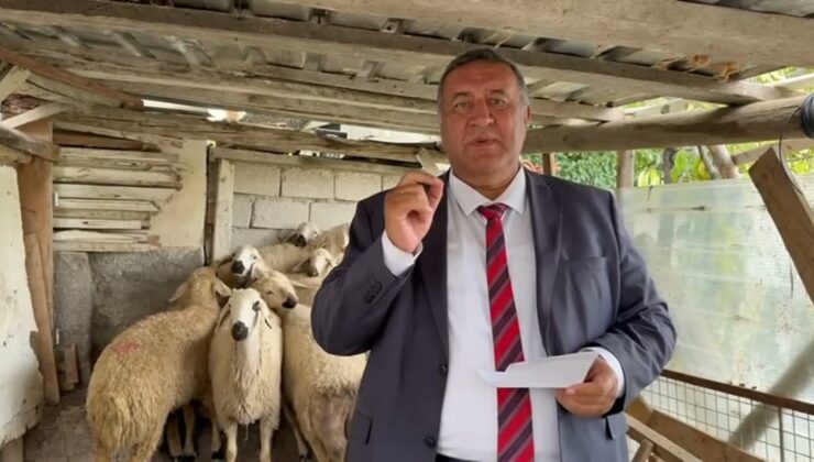 CHP’li Gürer, kırmızı ette 2 yılda yarım milyon ton kayıp olduğunu söyledi