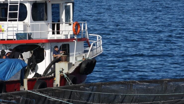 COP31 öncesi öğrencilerden Karadeniz’e yakın mercek
