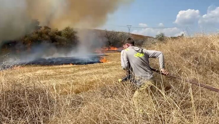 Çorum’un Bayat ilçesinde anız yangını ağaçlık alana sıçradı