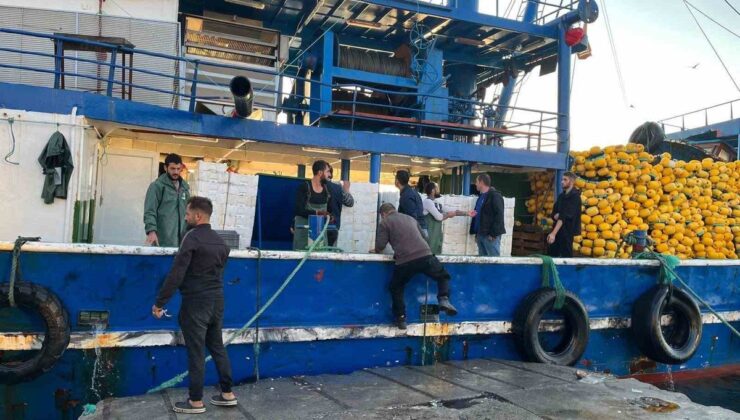 Didim İlçe Tarım ve Orman ekipleri hamsi kotası denetimlerini sürdürüyor
