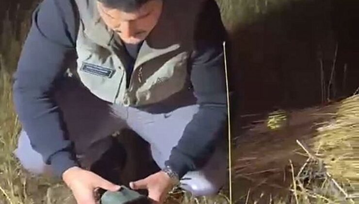 DKMP ekipleri yasa dışı avcılıkla mücadelede yasak ses cihazlarına el koyuyor