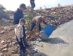 Edirne Meriç’teki Küplü beldesinde mahsur kalan balıklar göletlere bırakıldı