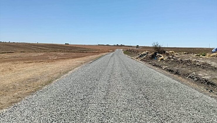 Edirne’den kısa kısa