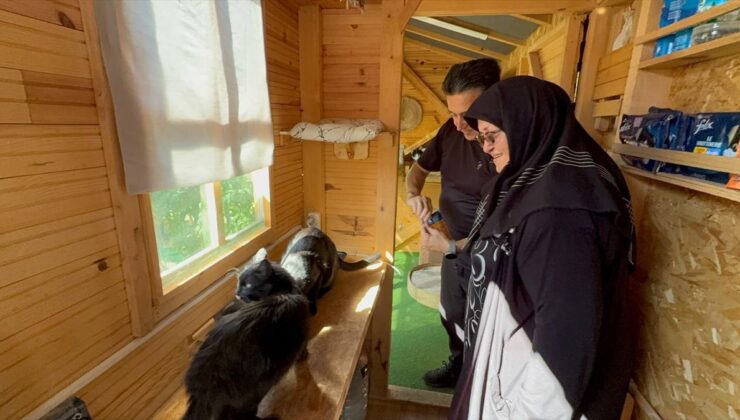 El emeği ürünlerinin kazancından bir kısmını sahipsiz hayvanlar için harcıyor