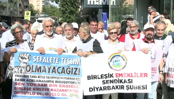 Emekli örgütleri Diyarbakır’da 8 bin 77 liralık seyyanen zamma tepki gösterdi