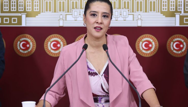 EMEP’li Karaca, işçilerinin direnişini TBMM gündemine taşıdı