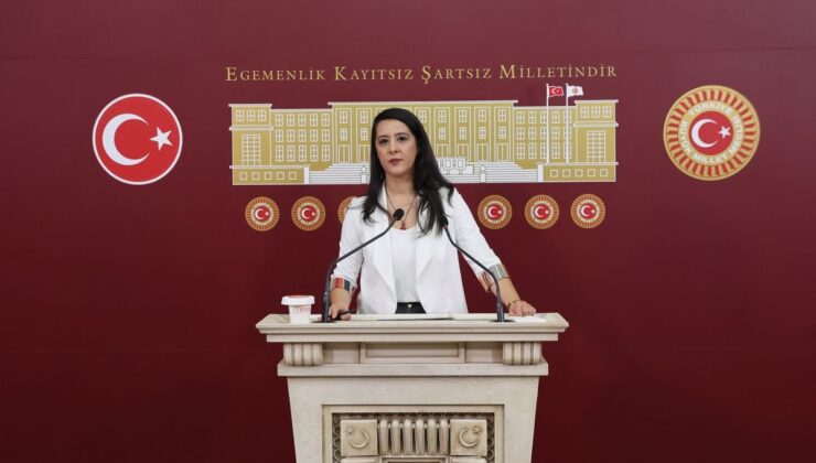 EMEP’li Karaca, karma eğitime karşı yürütülen kampanyaları TBMM gündemine taşıdı