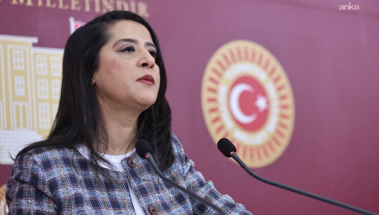 EMEP’li Sevda Karaca: “LGBTİ örgütlerinin yakasından artık düşün”