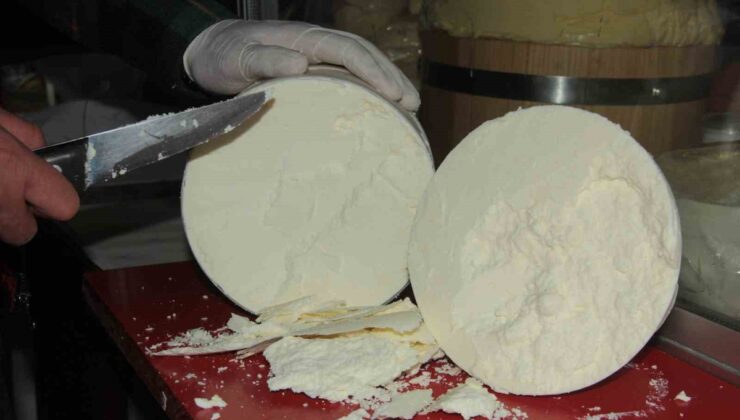 Erzincan Tulum Peyniri’nin toz formu için patent başvurusu yapıldı