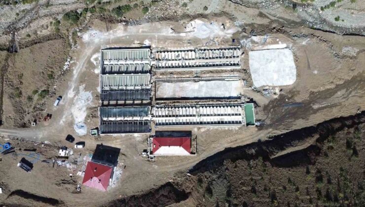 Erzincan’da 16 tesiste üretilen balıklar 18 ülkeye ihraç ediliyor