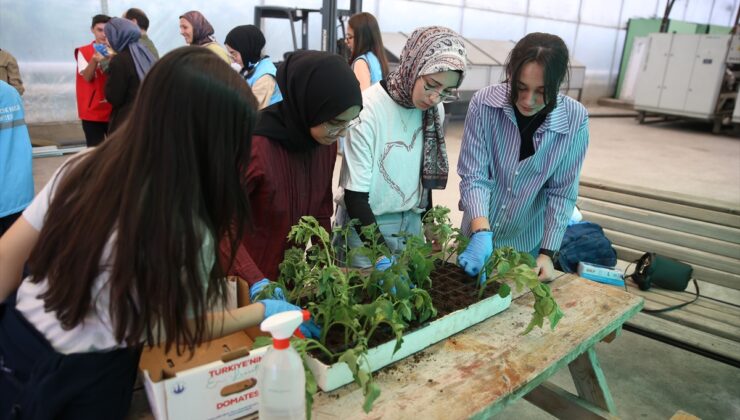 Erzurum’da çocuklar COP31 kapsamında serada fidan dikti, hasat yapıp pazarda sattı