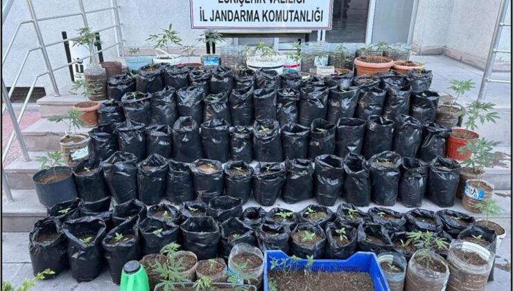 Eskişehir’de uyuşturucu operasyonunda 1 şüpheli tutuklandı