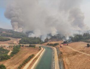 GÜNCELLEME – Adana’daki orman yangını kontrol altına alınmaya çalışılıyor