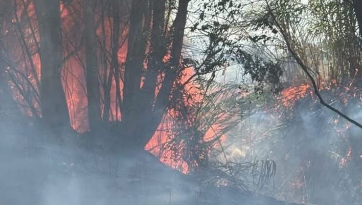 Hatay Antakya Arpahan’da ağaçlık ve otluk yangını kısa sürede kontrol altına alındı.