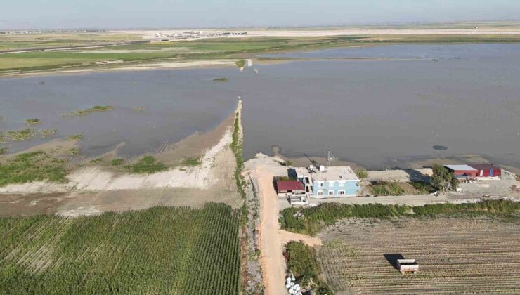 Hatay’daki Amik Ovası’nda 9 aydır çekilmeyen su binlerce dönüm tarım arazisini vurdu