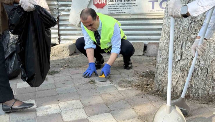 Iğdır Valisi Taşolar, temizlik seferberliğinde otları spatulayla temizledi