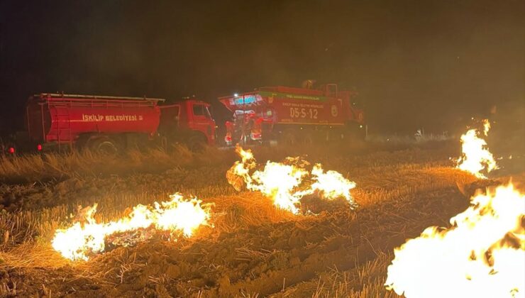 İskilip’te anız yangınlarında 20 bin dekar arazi zarar gördü