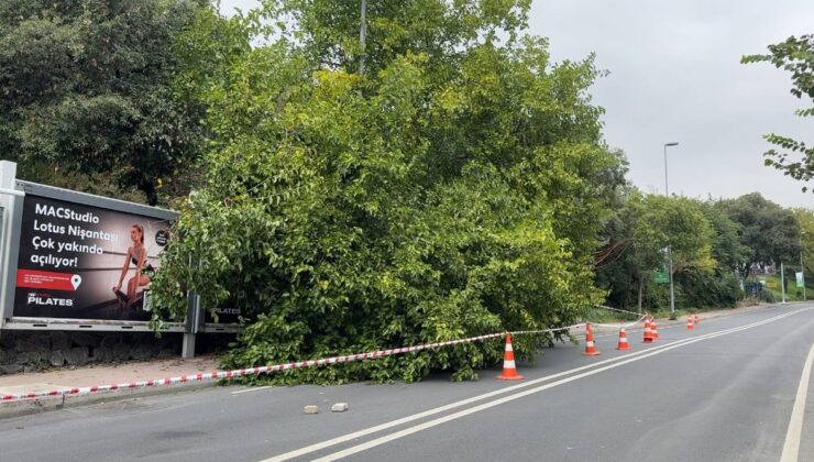 İstanbul’da sağanak etkili oldu, Şişli’de ağaçlar devrildi, Beşiktaş’ta rögarlar taştı