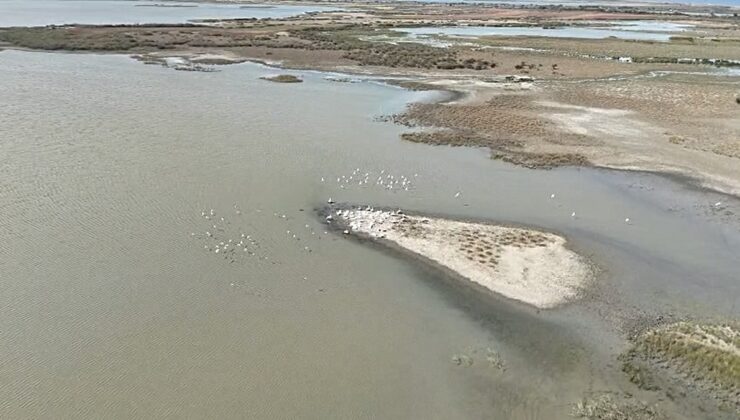 Karacabey Ballıkaya Mahallesi’ndeki gölde pelikanlar dronla havadan görüntülendi