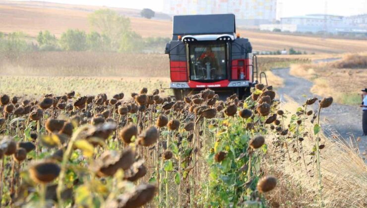 KARADENİZBİRLİK yağlık ayçiçeği ön alım fiyatını ton başına 34 bin lira belirledi