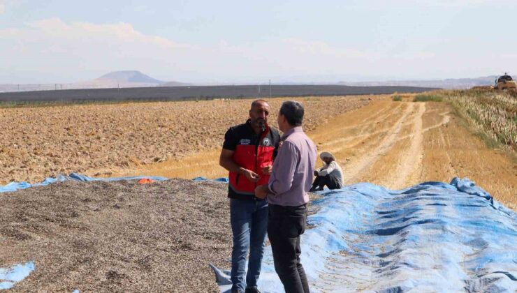 Karapınar’da İlçe Tarım Müdürü, ayçiçeği ve patates tarlalarında inceleme yaptı