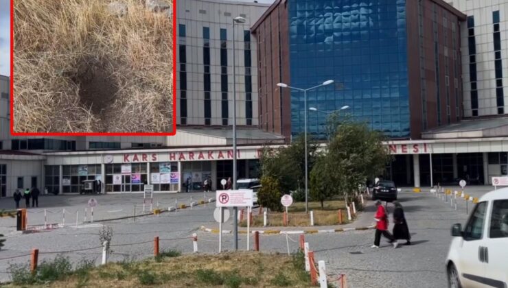Kars’ta bebek vahşeti! Ağzından peçete çıktı, anne ile anneanne tutuklandı