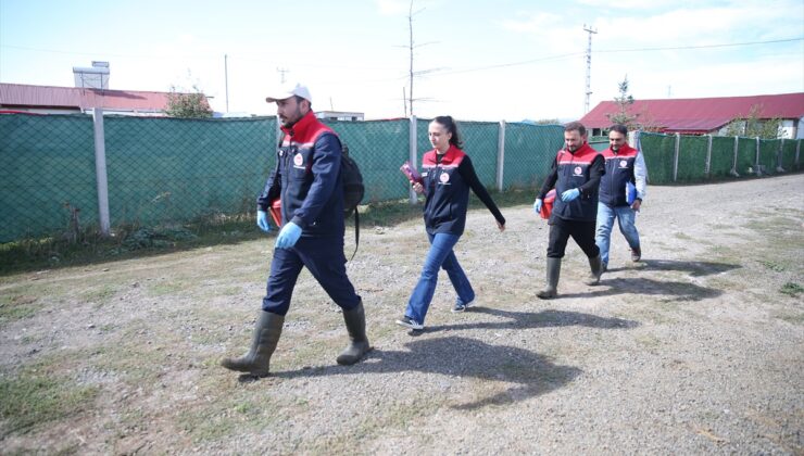 Kars’ta şap hastalığına karşı 100 kişilik ekip köy ve meralarda aşılama yapıyor