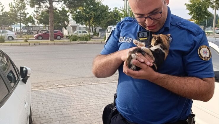 Konya Beyşehir’de polis, otomobil motorundaki yavru kediyi kedi sesiyle kurtardı