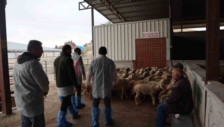 Konya Karapınar’da kesimhaneler İlçe Tarım Müdürü Filikci ve personelce denetlendi
