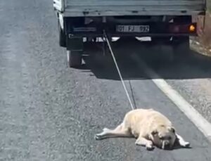 Köpeği kamyonetin arkasına bağlayıp sürükleyerek götürdü