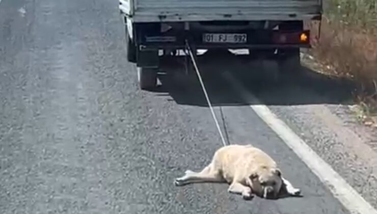 Köpeği kamyonetin arkasına bağlayıp sürükleyerek götürdü