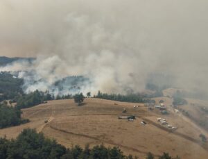 Kozan’da 2 ayrı noktada orman yangını; yerleşim yerleri tedbir amaçlı boşaltıldı