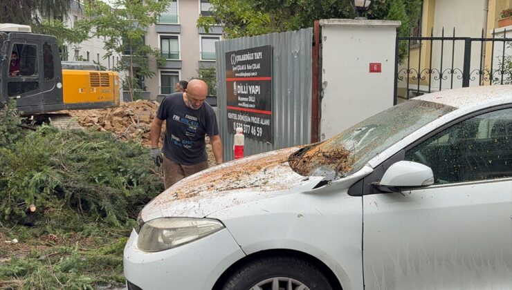 Maltepe’de kesilen ağacın iki aracın üzerine devrilmesi kamerada
