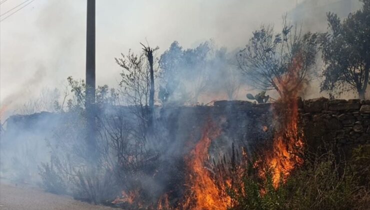 Manavgat’ta zirai alanda çıkan yangın söndürüldü