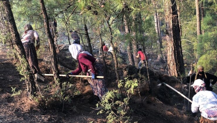 Manavgat’taki Ahmetler’in HES ve yangın mücadelesine 2026 Çevre Ödülü verildi