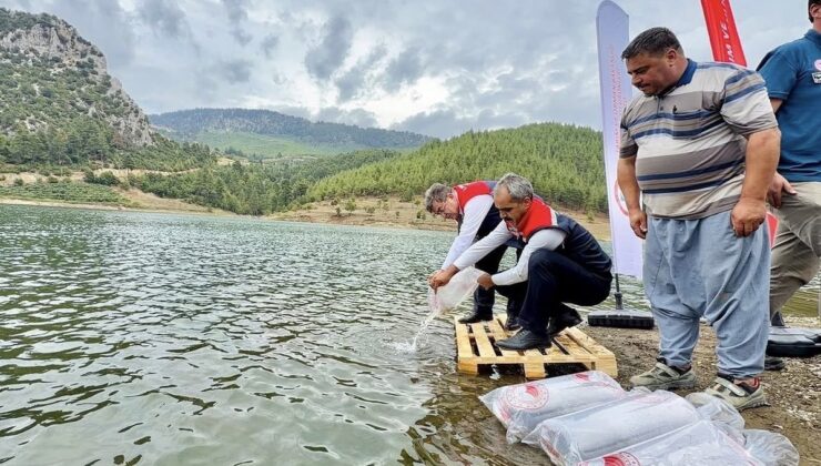 Mersin’de balıklandırma projesi 9 ilçede 347 bin yavru sazanı suyla buluşturdu
