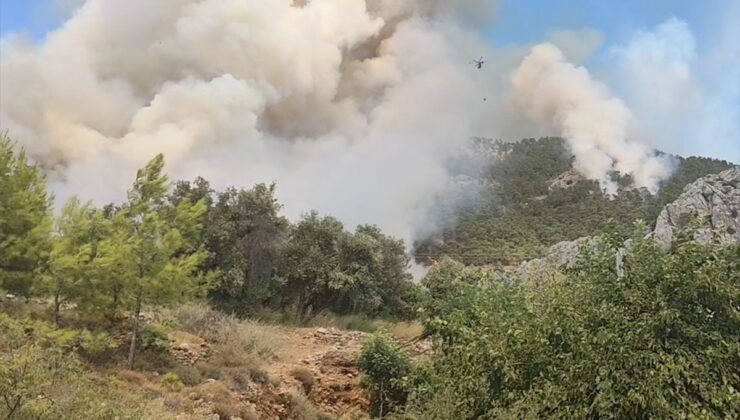 Mersin’in Bozyazı ilçesinde orman yangını çıktı